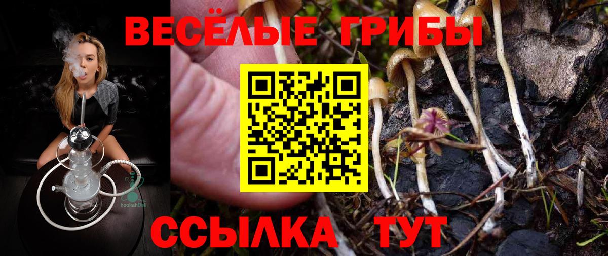 Галлюциногенные грибы MAGIC MUSHROOMS Пугачёв