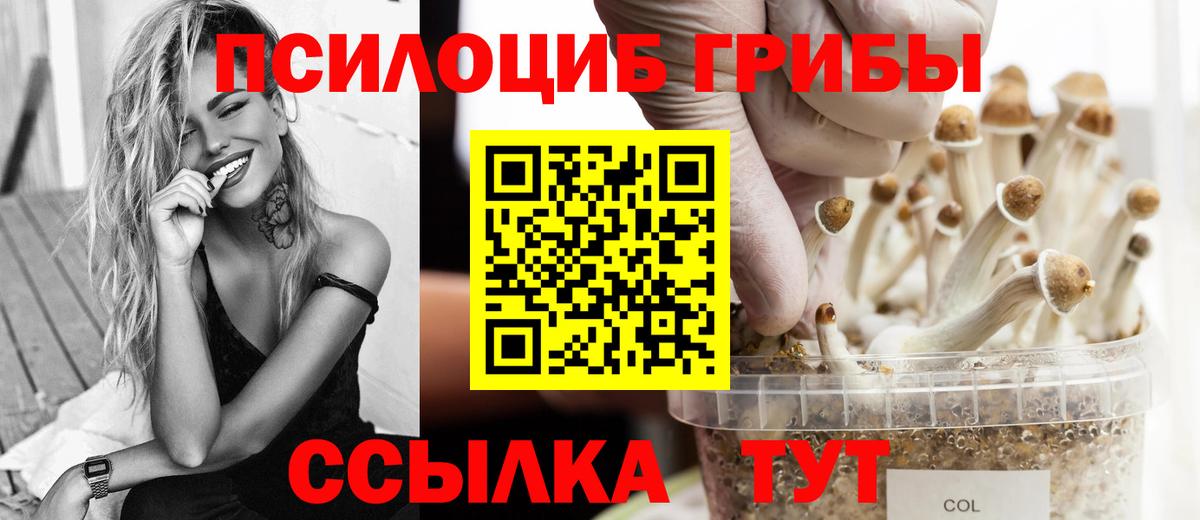 Пугачёв  Галлюциногенные грибы мухоморы  Вход с VPN 