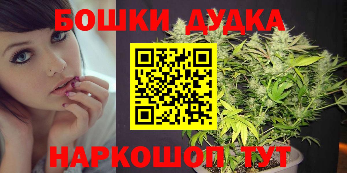 Канабис планчик Пугачёв